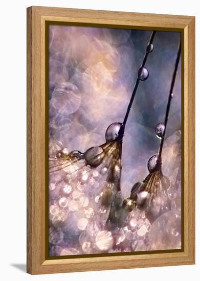 Dancing Seedlings-Ursula Abresch-Framed Premier Image Canvas