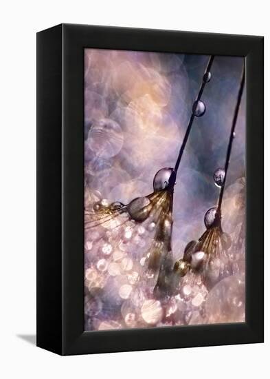 Dancing Seedlings-Ursula Abresch-Framed Premier Image Canvas