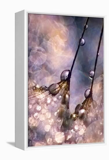 Dancing Seedlings-Ursula Abresch-Framed Premier Image Canvas
