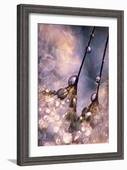 Dancing Seedlings-Ursula Abresch-Framed Photographic Print