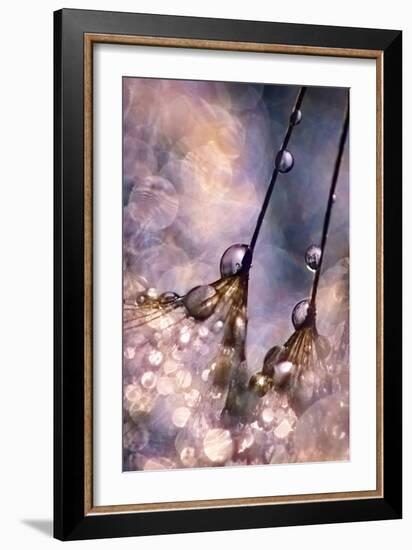 Dancing Seedlings-Ursula Abresch-Framed Photographic Print