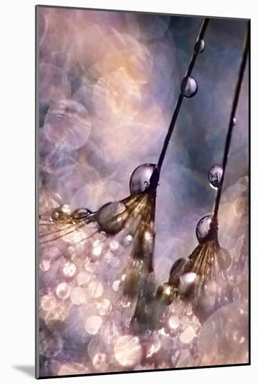 Dancing Seedlings-Ursula Abresch-Mounted Photographic Print