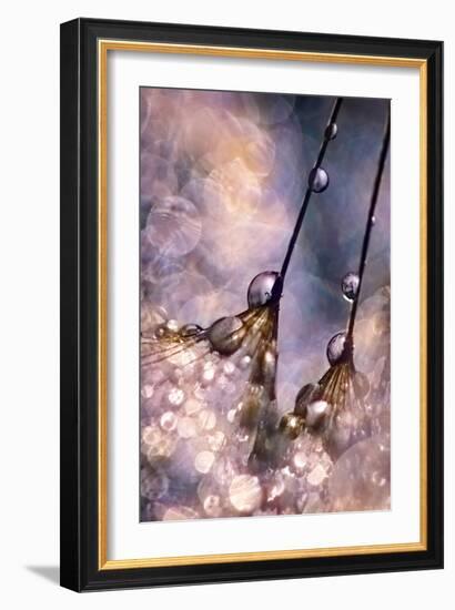 Dancing Seedlings-Ursula Abresch-Framed Photographic Print