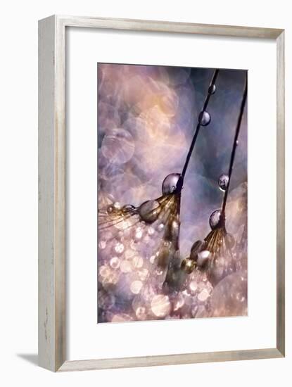 Dancing Seedlings-Ursula Abresch-Framed Photographic Print