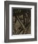 Dancing Trees, 1922-Alfred Stieglitz-Framed Art Print