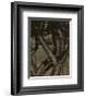 Dancing Trees, 1922-Alfred Stieglitz-Framed Art Print