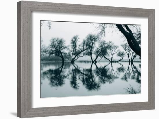 Dancing Trees in Reflection, Marin County, Northern California-Vincent James-Framed Photographic Print