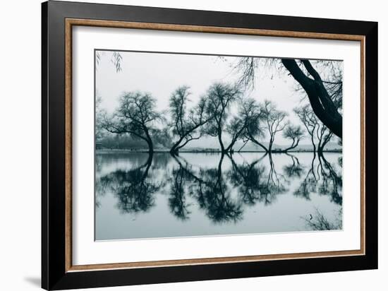 Dancing Trees in Reflection, Marin County, Northern California-Vincent James-Framed Photographic Print