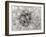 Dandelion 2-Jim Christensen-Framed Photographic Print