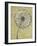 Dandelion Abstract I-Tim OToole-Framed Art Print