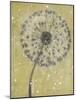 Dandelion Abstract I-Tim OToole-Mounted Art Print