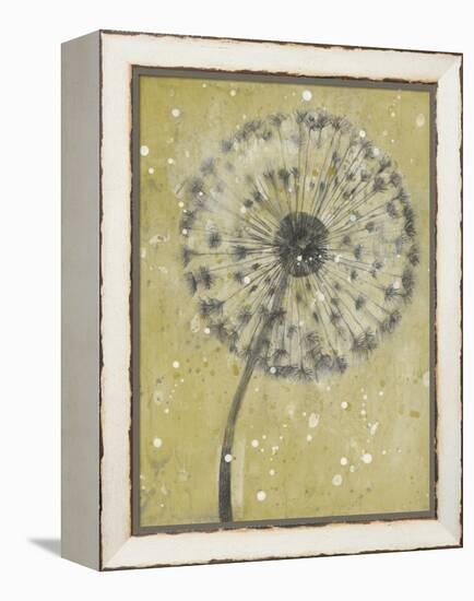 Dandelion Abstract I-Tim OToole-Framed Stretched Canvas