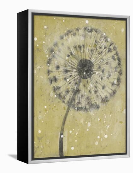 Dandelion Abstract I-Tim OToole-Framed Stretched Canvas