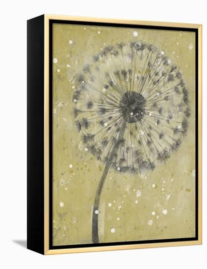 Dandelion Abstract I-Tim OToole-Framed Stretched Canvas