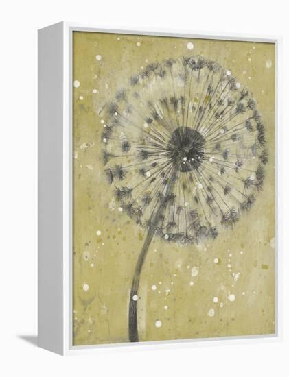 Dandelion Abstract I-Tim OToole-Framed Stretched Canvas