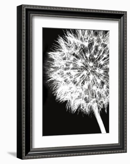 Dandelion Crop-Jenny Kraft-Framed Giclee Print