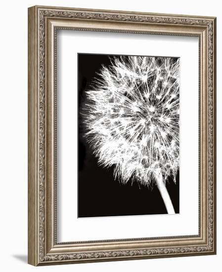 Dandelion Crop-Jenny Kraft-Framed Art Print