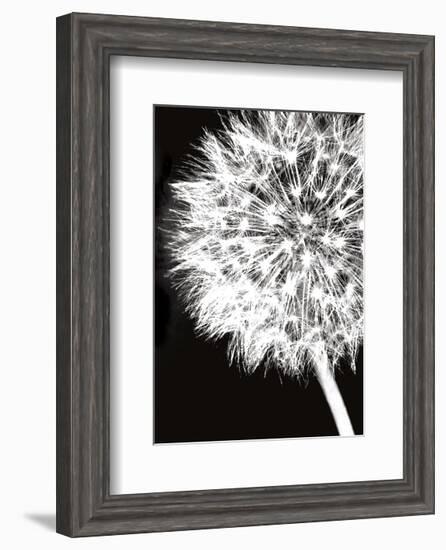 Dandelion Crop-Jenny Kraft-Framed Art Print