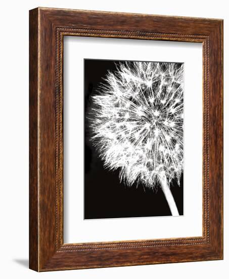 Dandelion Crop-Jenny Kraft-Framed Art Print