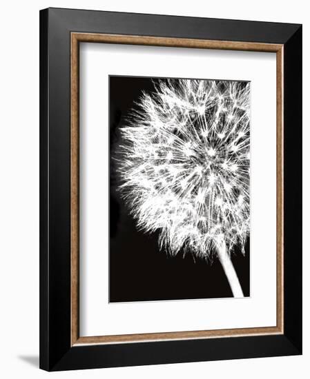 Dandelion Crop-Jenny Kraft-Framed Art Print