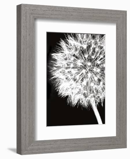 Dandelion Crop-Jenny Kraft-Framed Art Print