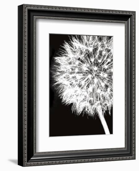 Dandelion Crop-Jenny Kraft-Framed Art Print