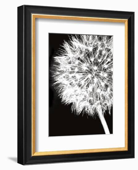 Dandelion Crop-Jenny Kraft-Framed Art Print