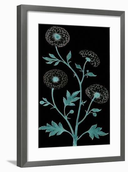 Dandelion Dance-Mindy Sommers-Framed Giclee Print