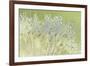 Dandelion Dew I-Cora Niele-Framed Photographic Print