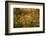 Dandelion Dreams-Delphine Devos-Framed Photographic Print