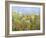 Dandelion Dust-Allan Friedlander-Framed Art Print