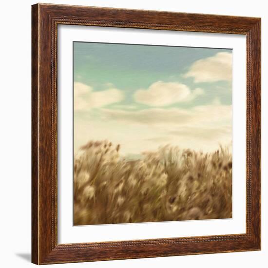 Dandelion Field-Anna Polanski-Framed Art Print