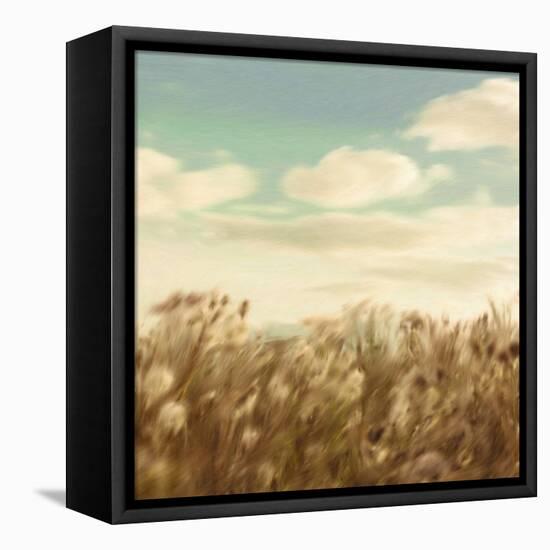 Dandelion Field-Anna Polanski-Framed Stretched Canvas