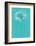 Dandelion Flower Head-Takashi Sakai-Framed Art Print