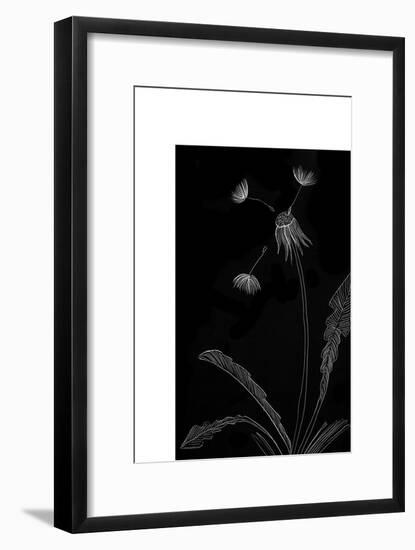 Dandelion Garden I-Alicia Ludwig-Framed Art Print