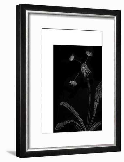 Dandelion Garden I-Alicia Ludwig-Framed Art Print