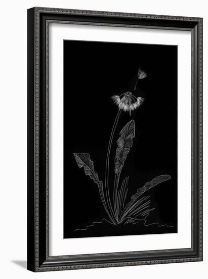 Dandelion Garden II-Alicia Ludwig-Framed Art Print