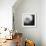 Dandelion Haze B+W-Andreas Stridsberg-Framed Giclee Print displayed on a wall