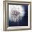 Dandelion Haze-Andreas Stridsberg-Framed Giclee Print