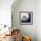 Dandelion Haze-Andreas Stridsberg-Framed Giclee Print displayed on a wall