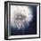 Dandelion Haze-Andreas Stridsberg-Framed Giclee Print