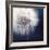 Dandelion Haze-Andreas Stridsberg-Framed Giclee Print