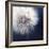 Dandelion Haze-Andreas Stridsberg-Framed Giclee Print