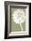 Dandelion (khaki)-Jenny Kraft-Framed Art Print