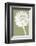 Dandelion (khaki)-Jenny Kraft-Framed Art Print