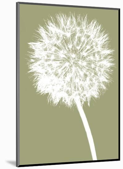 Dandelion (khaki)-Jenny Kraft-Mounted Art Print