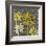 Dandelion on Circles Linked-Susan Clickner-Framed Giclee Print