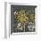 Dandelion on Honeycomb (Yellow)-Susan Clickner-Framed Giclee Print
