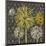 Dandelion on Honeycomb-Susan Clickner-Mounted Giclee Print