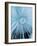 Dandelion Pappus, SEM-Peter Bond-Framed Photographic Print